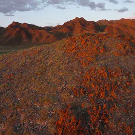 Altai mountains on fire under the Mongolian sunset