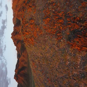 Altai mountains on fire under the Mongolian sunset