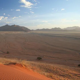 Plants indicate water in dry environments
