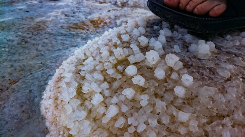 Freshly exposed salt crystals