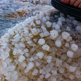 Freshly exposed salt crystals