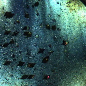 Zircon in the drop of the ocean