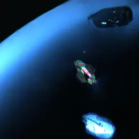 Space: the final frontier