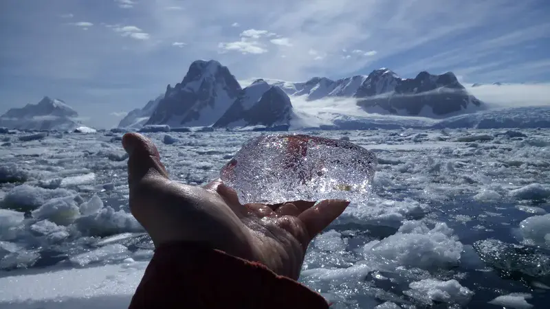 Glaciers' future in Humans' hands