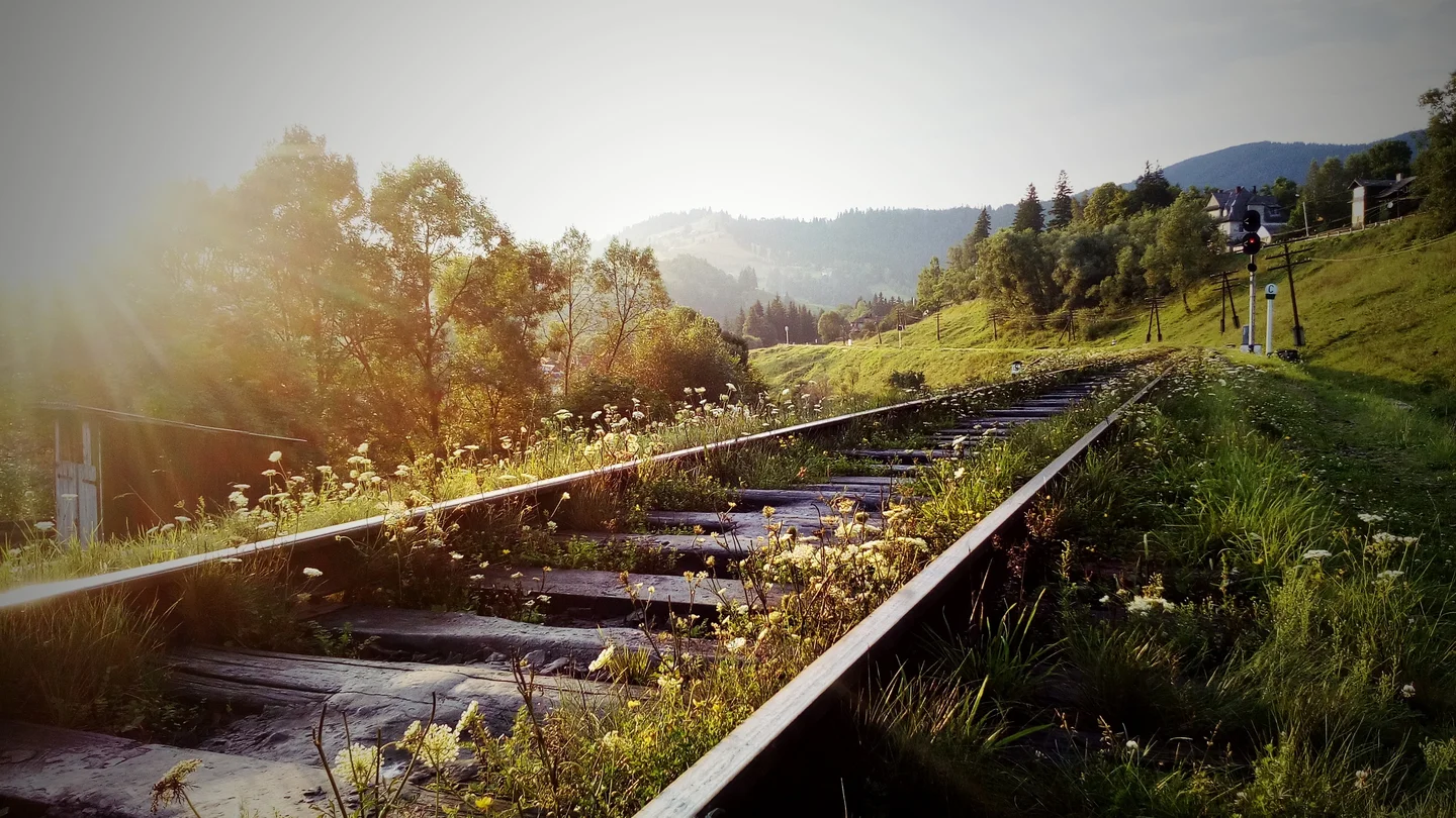 Humans' route in harmony with Nature