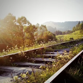 Humans' route in harmony with Nature