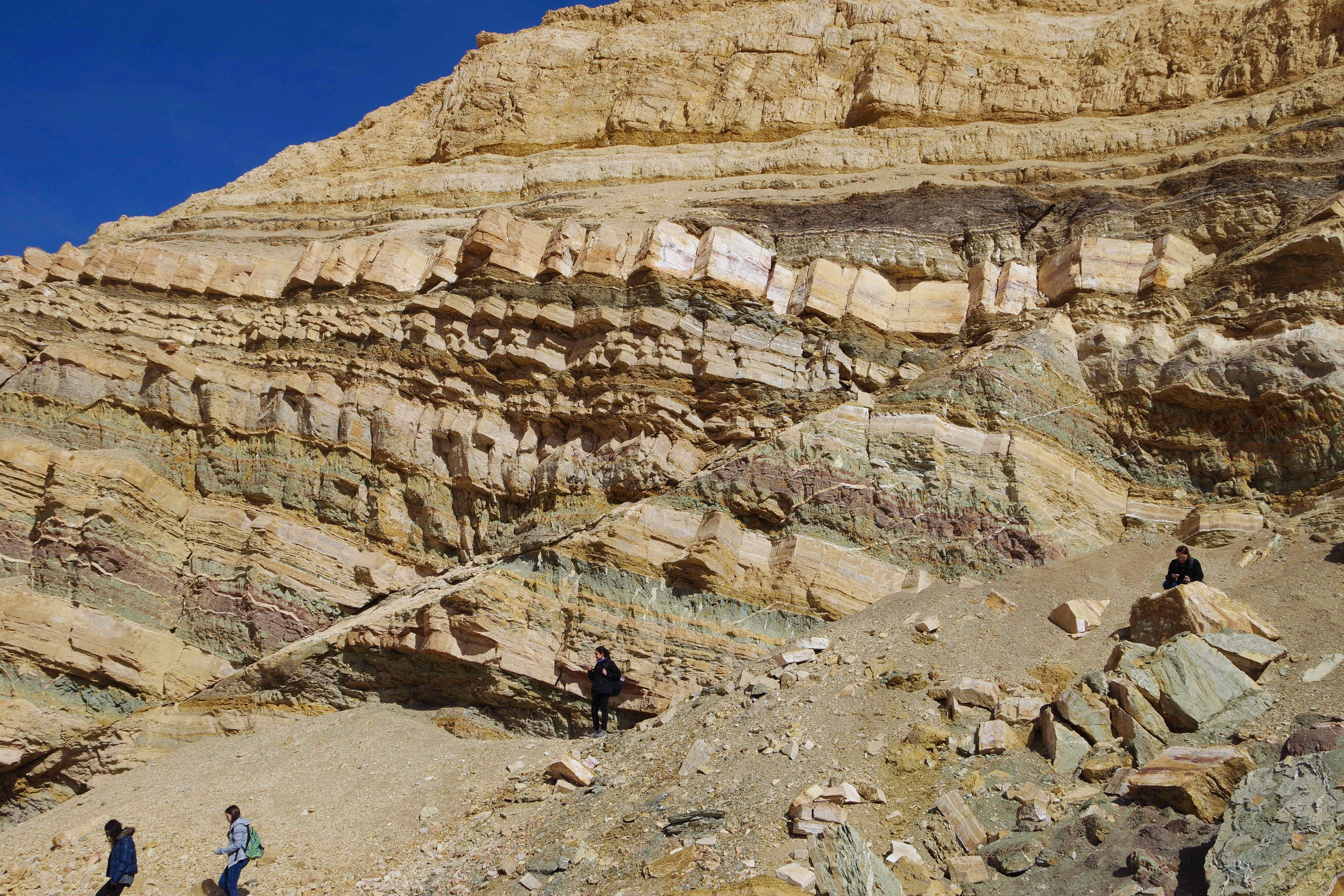 Sea level change and tectonics collide