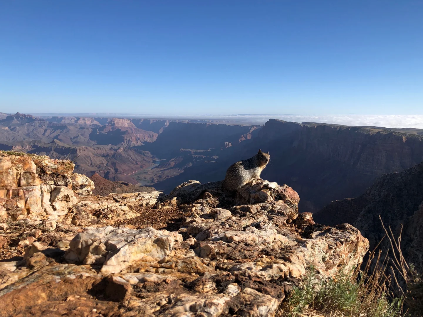 Exploring the Grand Canyon