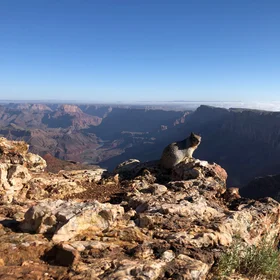 Exploring the Grand Canyon
