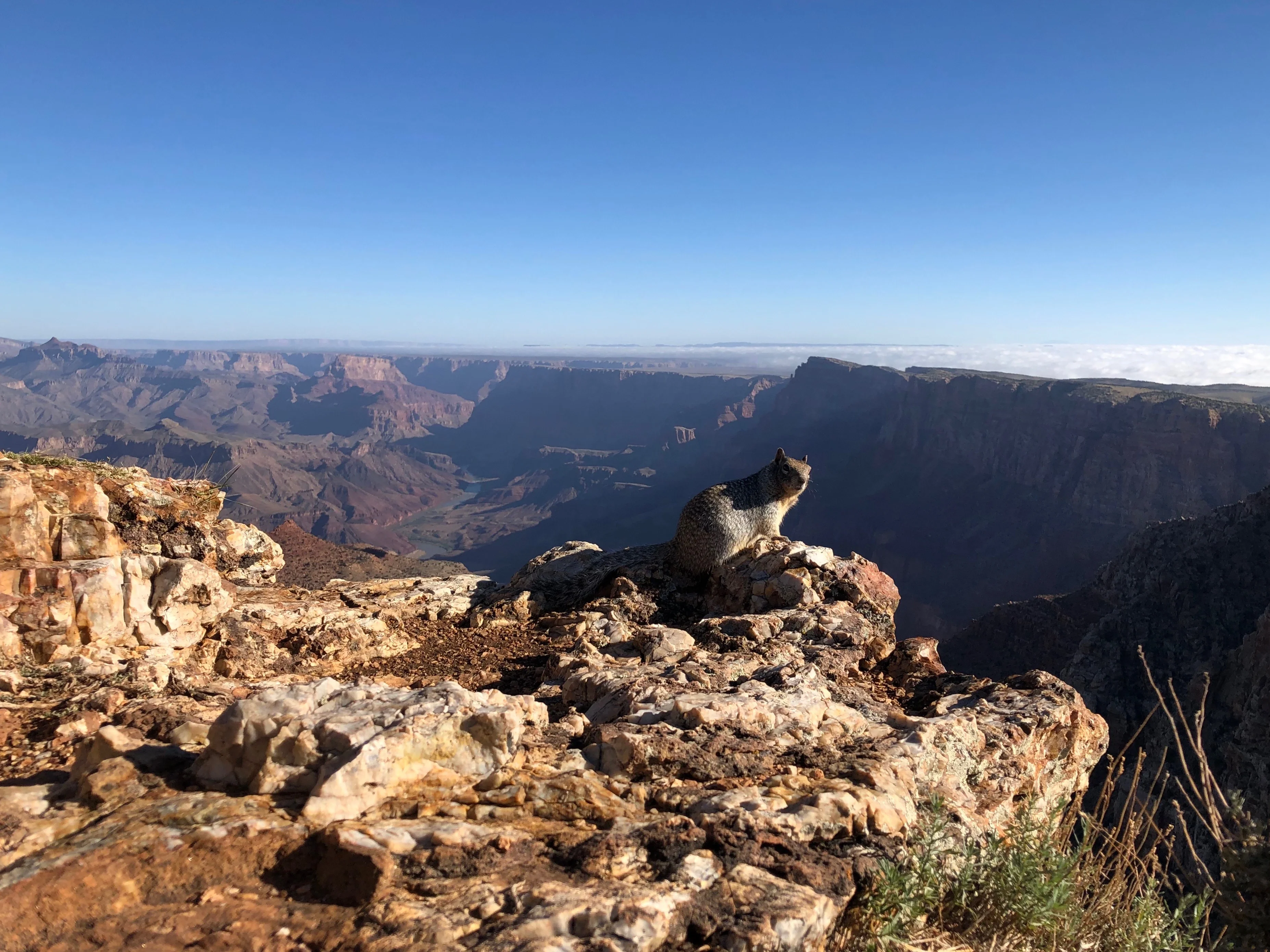 Exploring the Grand Canyon