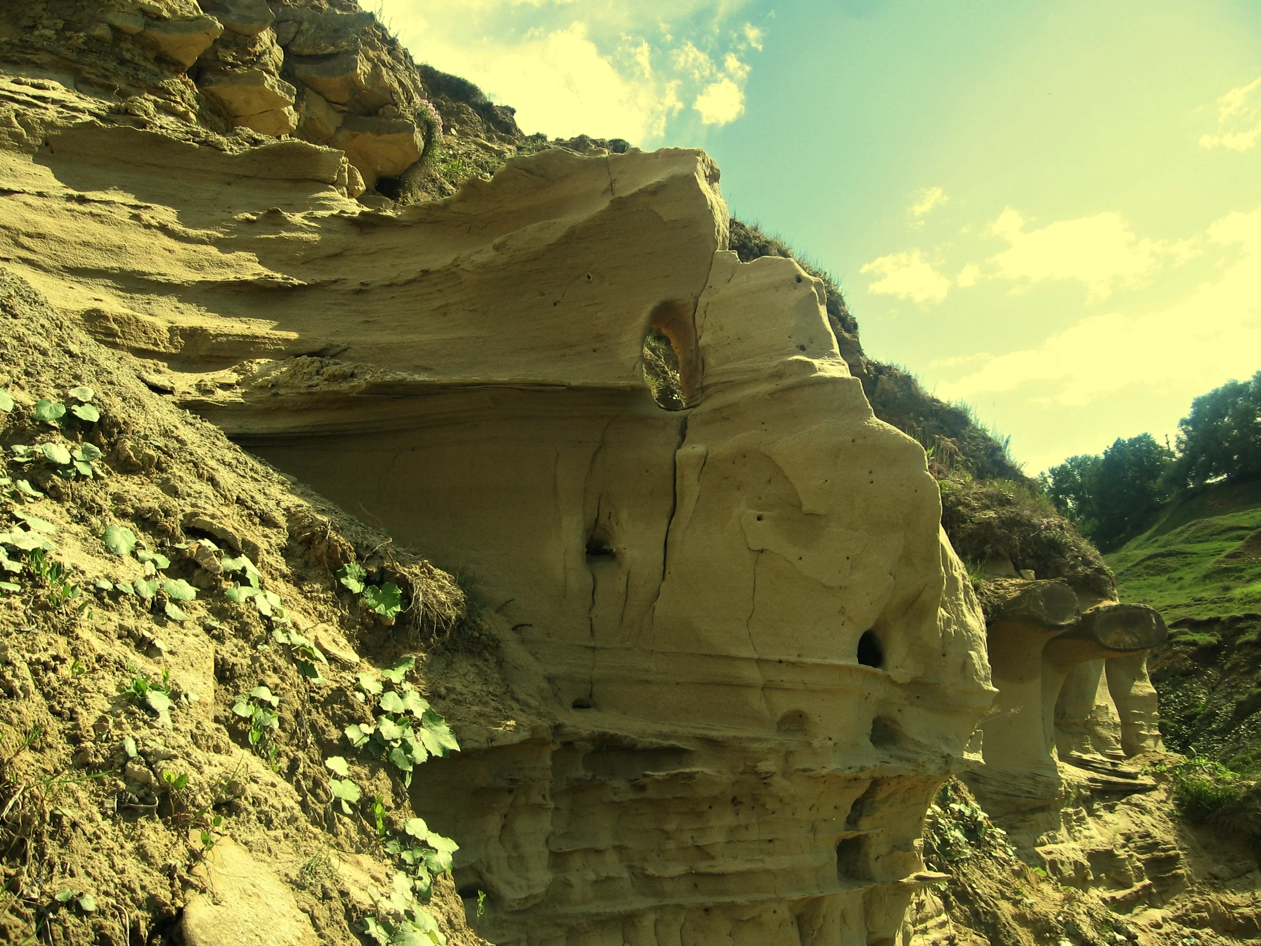 Spectacular aeolian landforms from Suceava River Valley