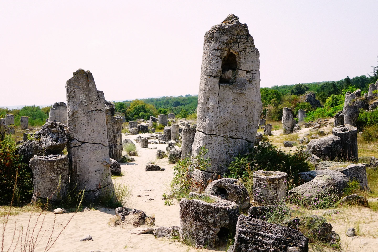 Not the Romans, nor the Greeks - just some stinky methane seeps