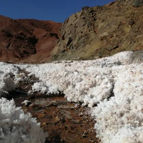 The Mysterious Salty Earth