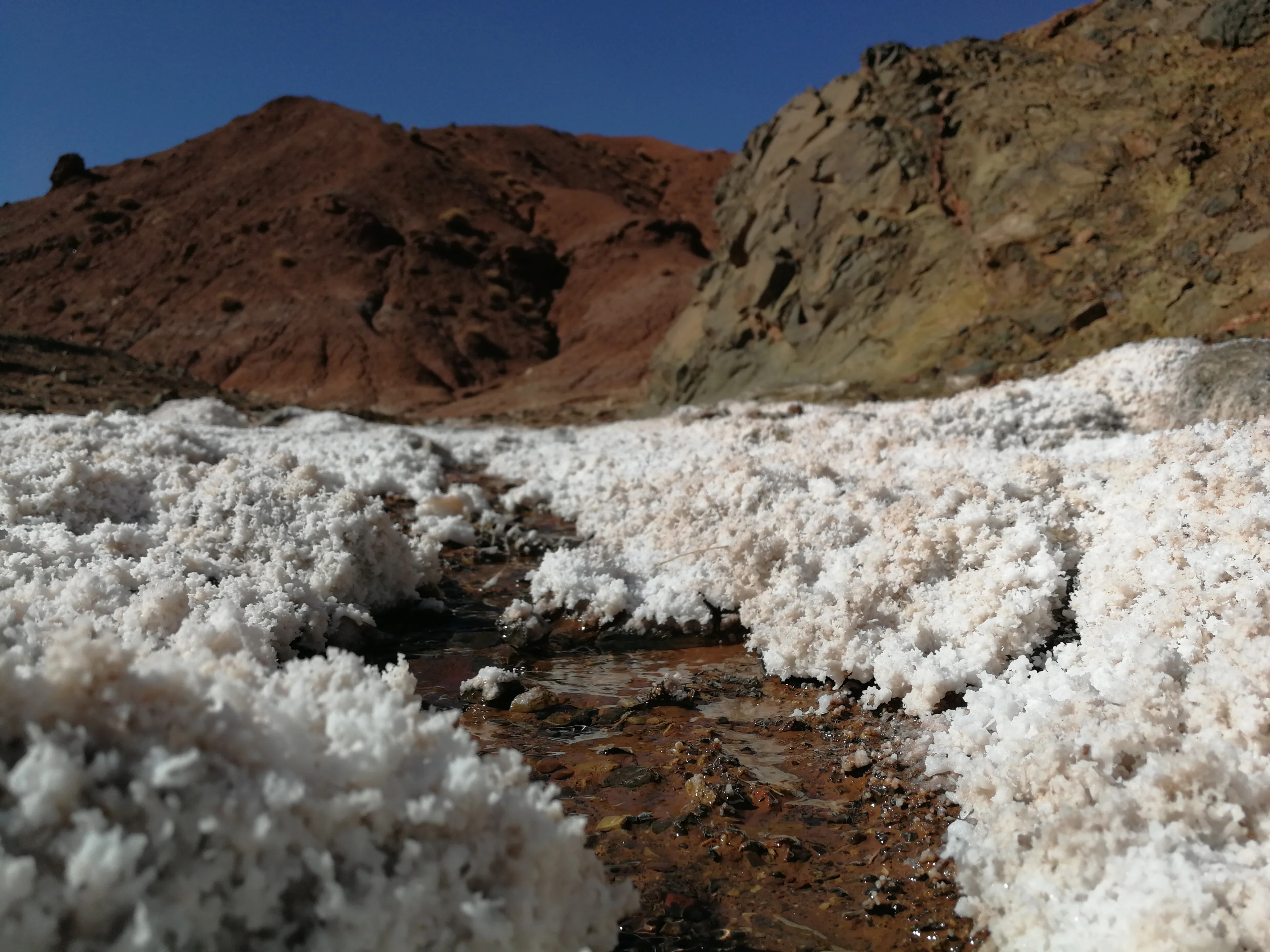 The Mysterious Salty Earth