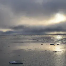 Arctic Ocean: the Ocean of silk