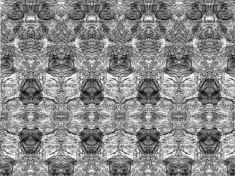 Artificial mirror effect on radiographic image