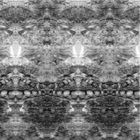Artificial mirror effect on radiographic image of sea shells