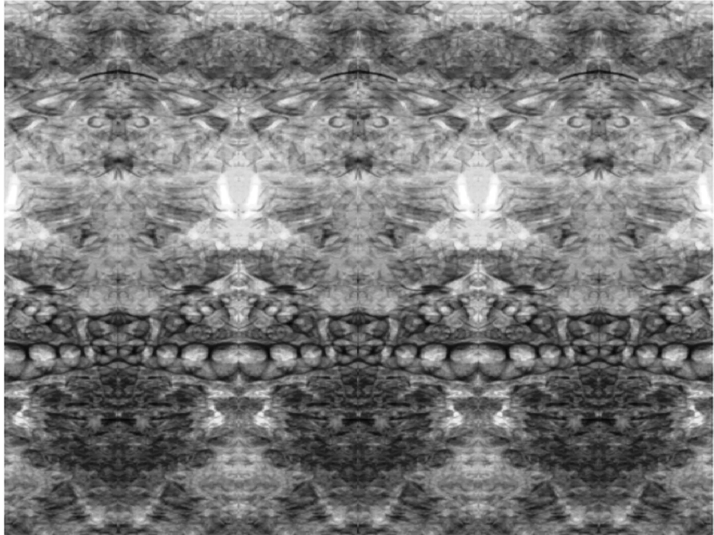 Artificial mirror effect on radiographic image of sea shells