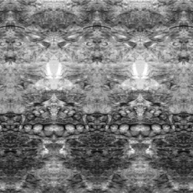 Artificial mirror effect on radiographic image of sea shells