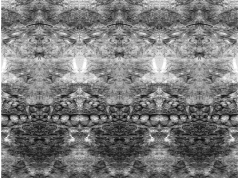 Artificial mirror effect on radiographic image of sea shells