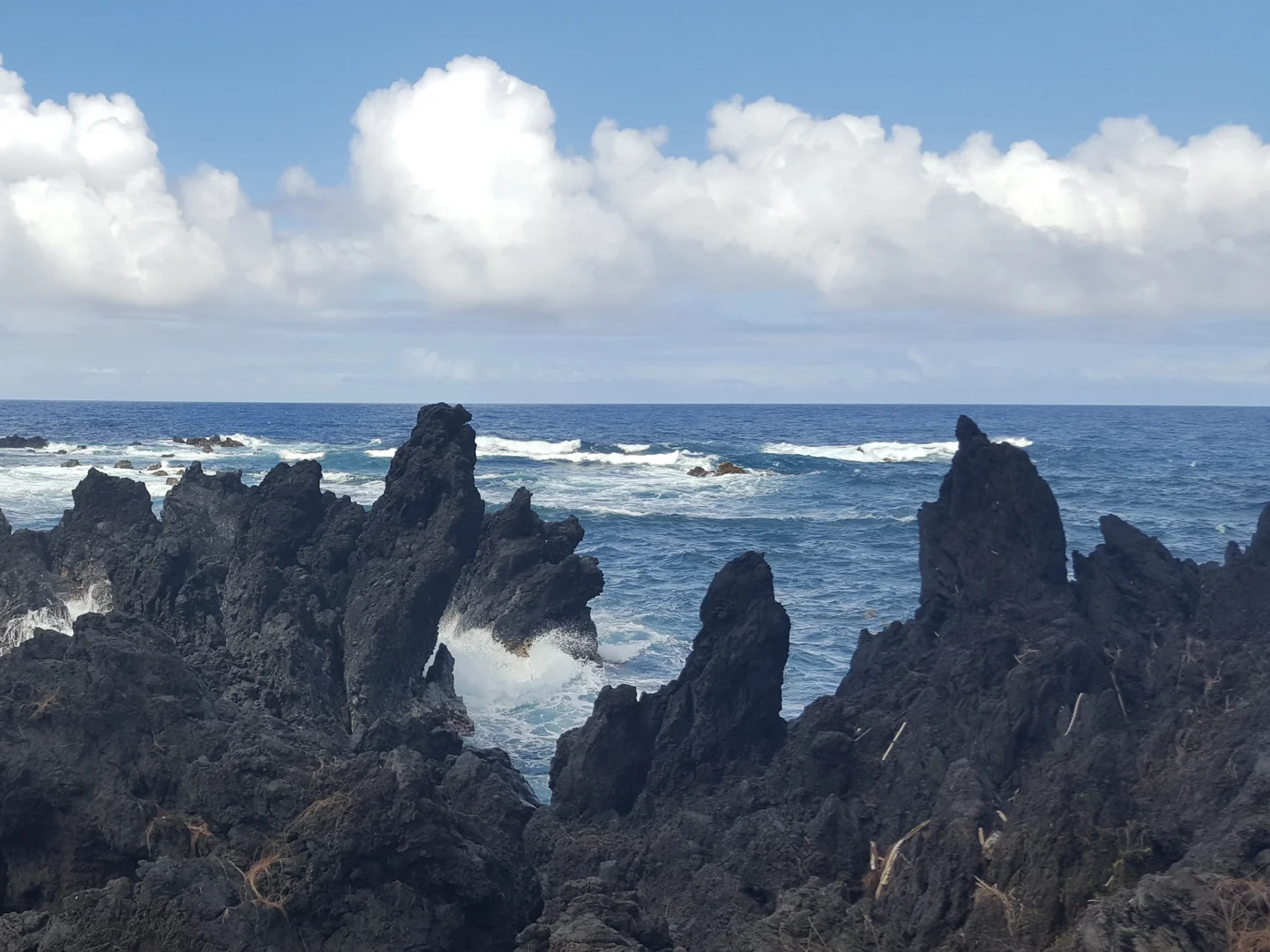 Struggle of Sea verses Land