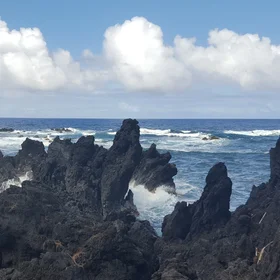 Struggle of Sea verses Land