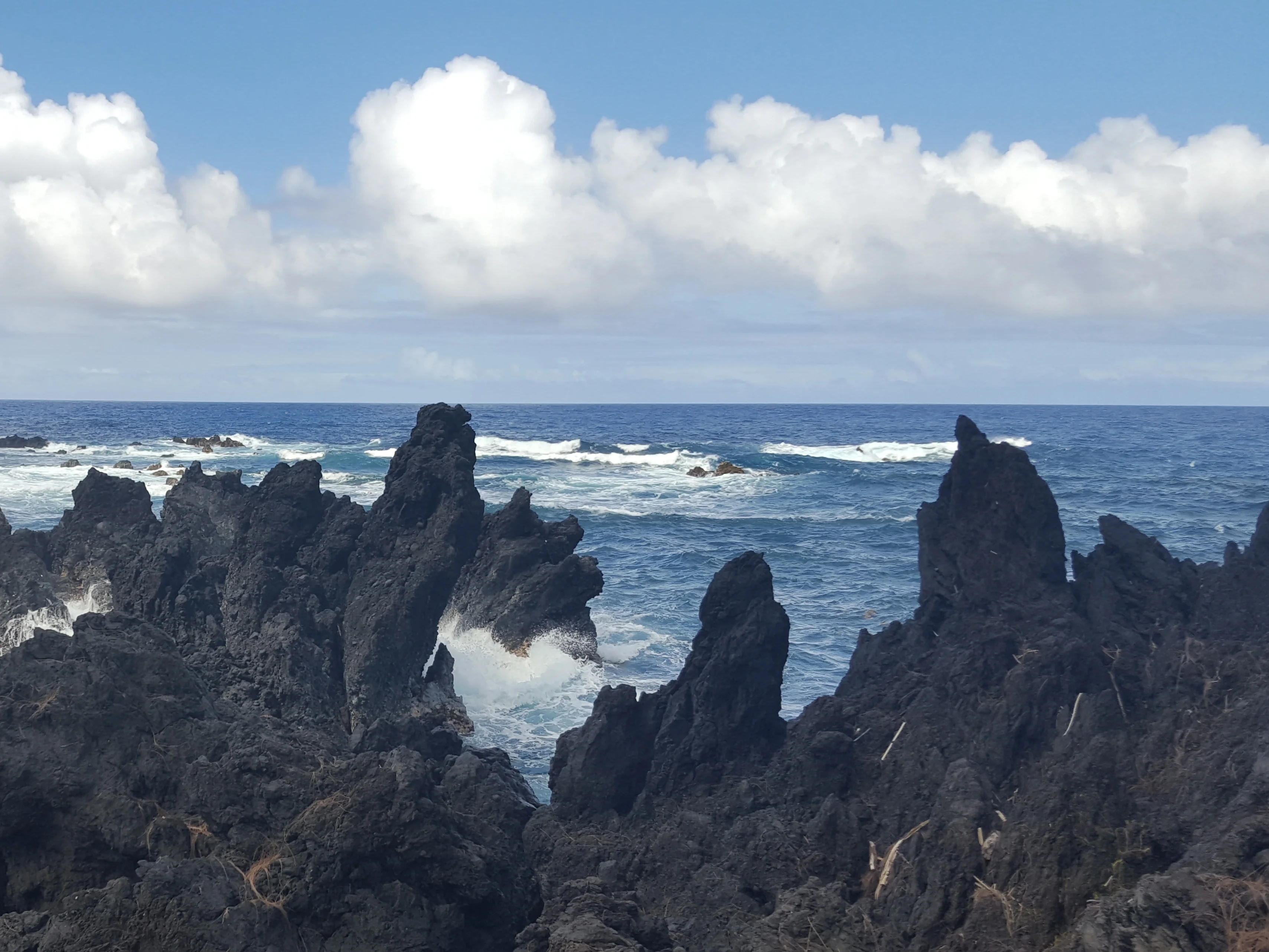 Struggle of Sea verses Land