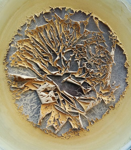 Dried soil fraction below 20 µm