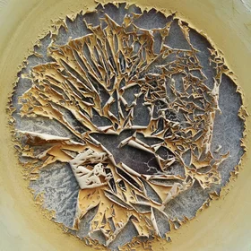 Dried soil fraction below 20 µm