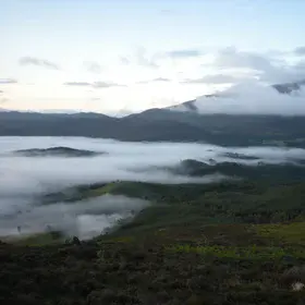 A misty autumn cloak