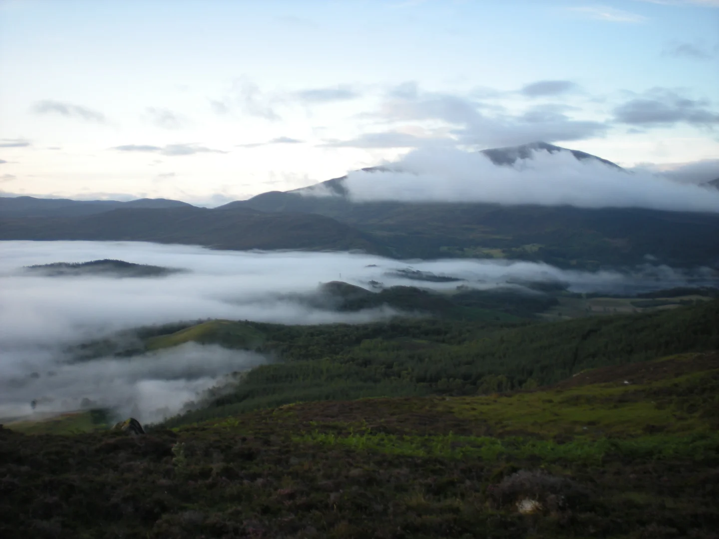 A misty autumn cloak