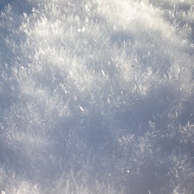 Scottish snow crystals