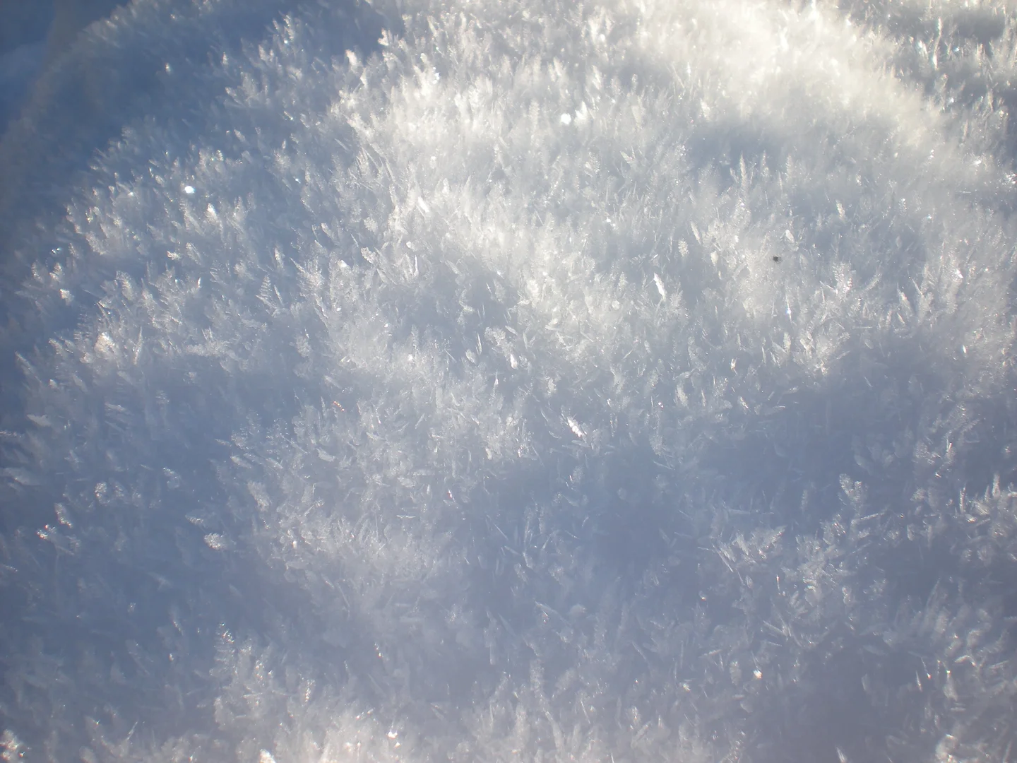 Scottish snow crystals
