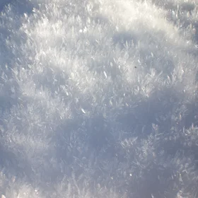 Scottish snow crystals
