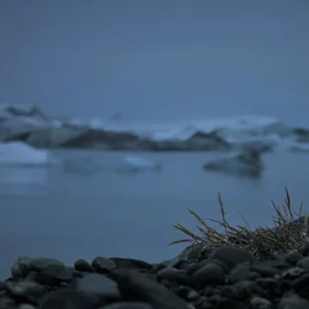 Pebbles_Grass_Icebergs