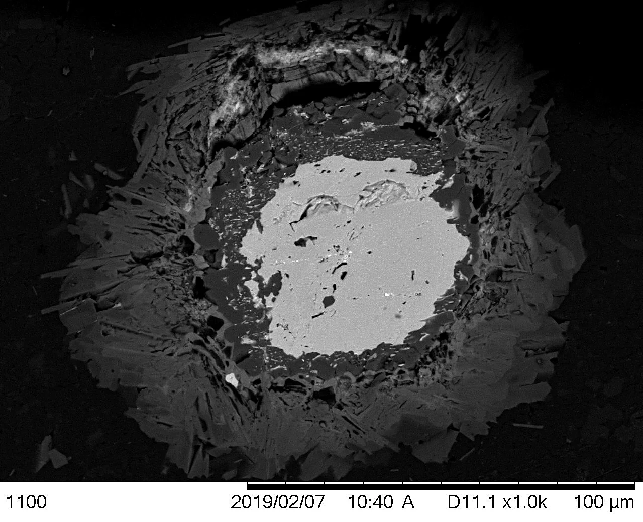 The Monazite Nebula of the Albești Granite