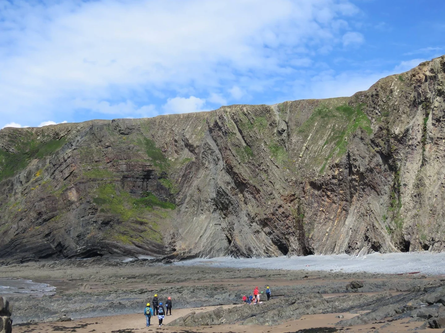 Folds in Hartland Quay