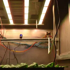 Growing food in our way to Mars
