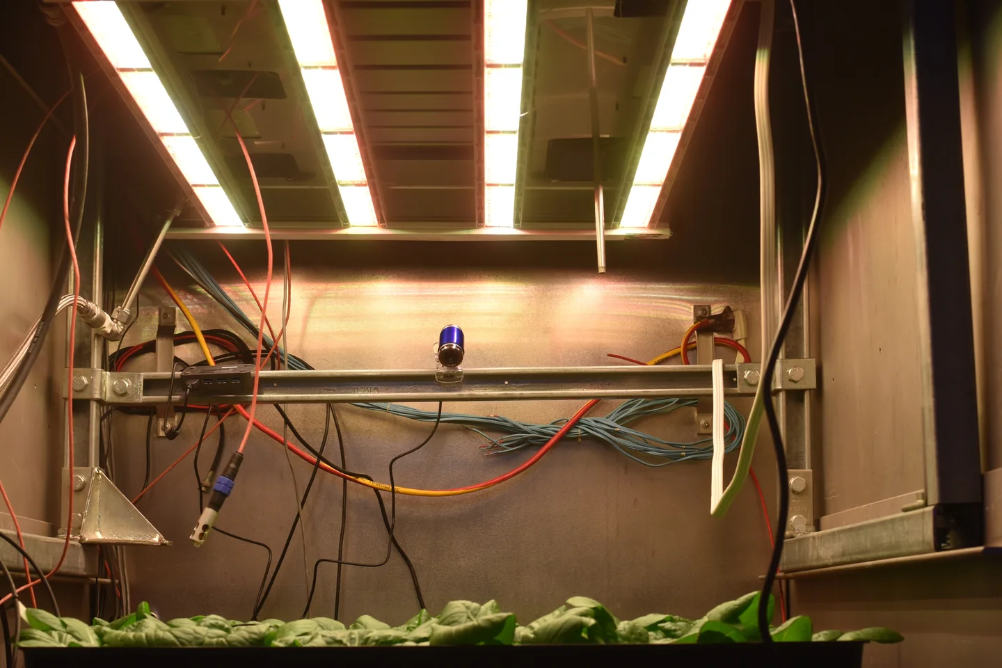 Growing food in our way to Mars