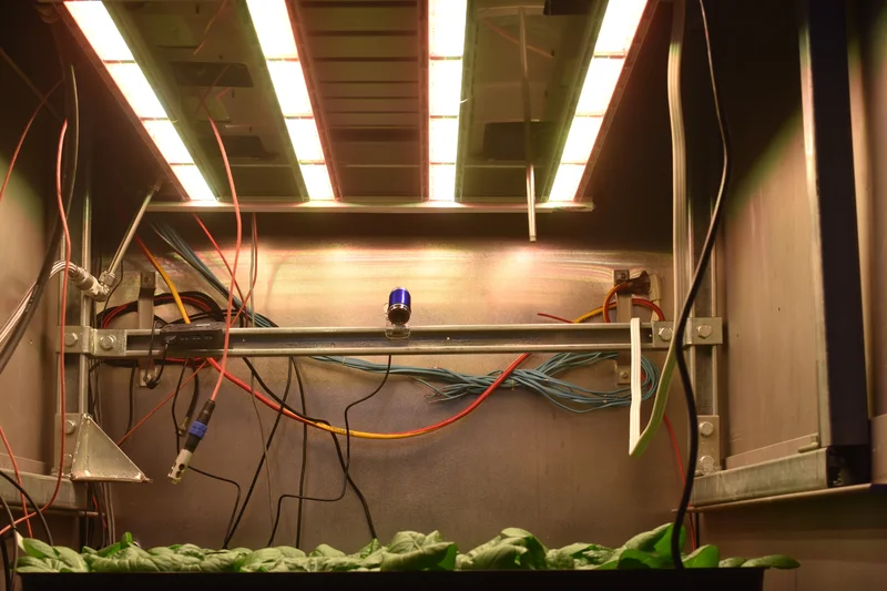 Growing food in our way to Mars