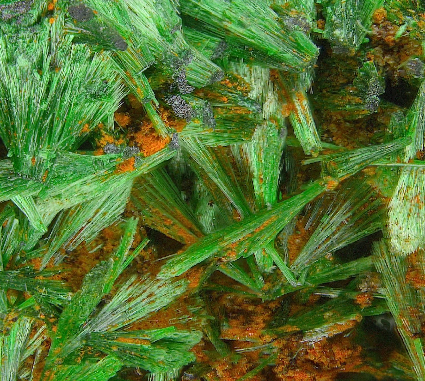 Malachite crystals with Fe-oxides