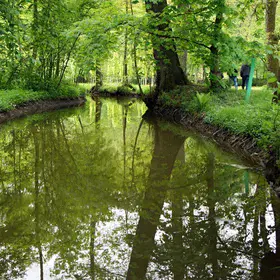 The Blanica River in the Springtime