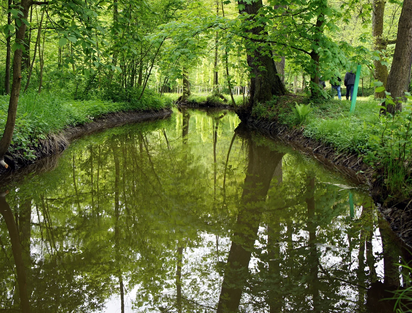 The Blanica River in the Springtime