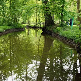 The Blanica River in the Springtime