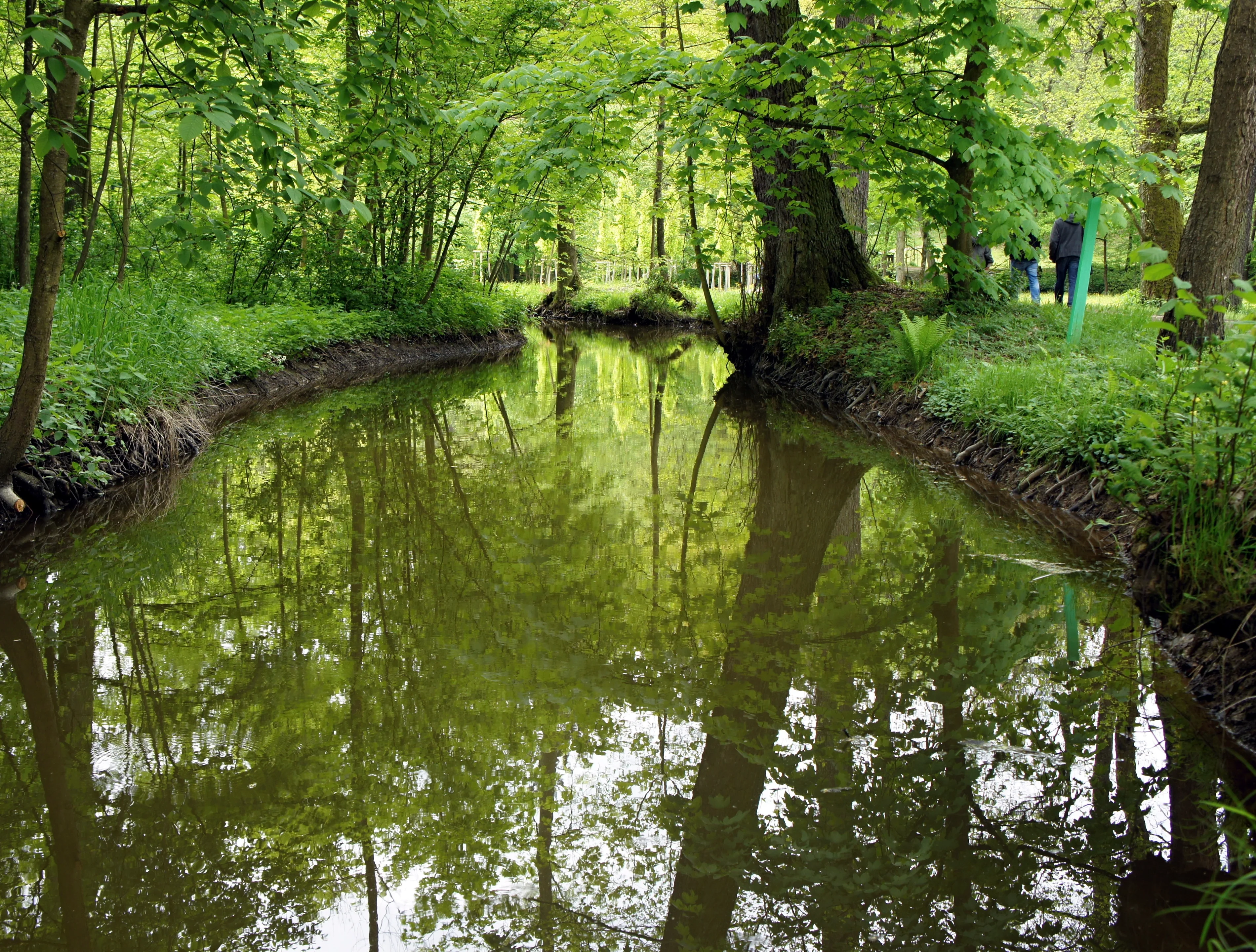 The Blanica River in the Springtime