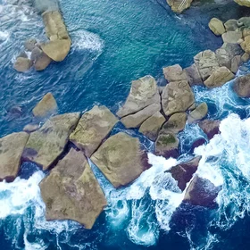 I need vitamin sea (at NSW)