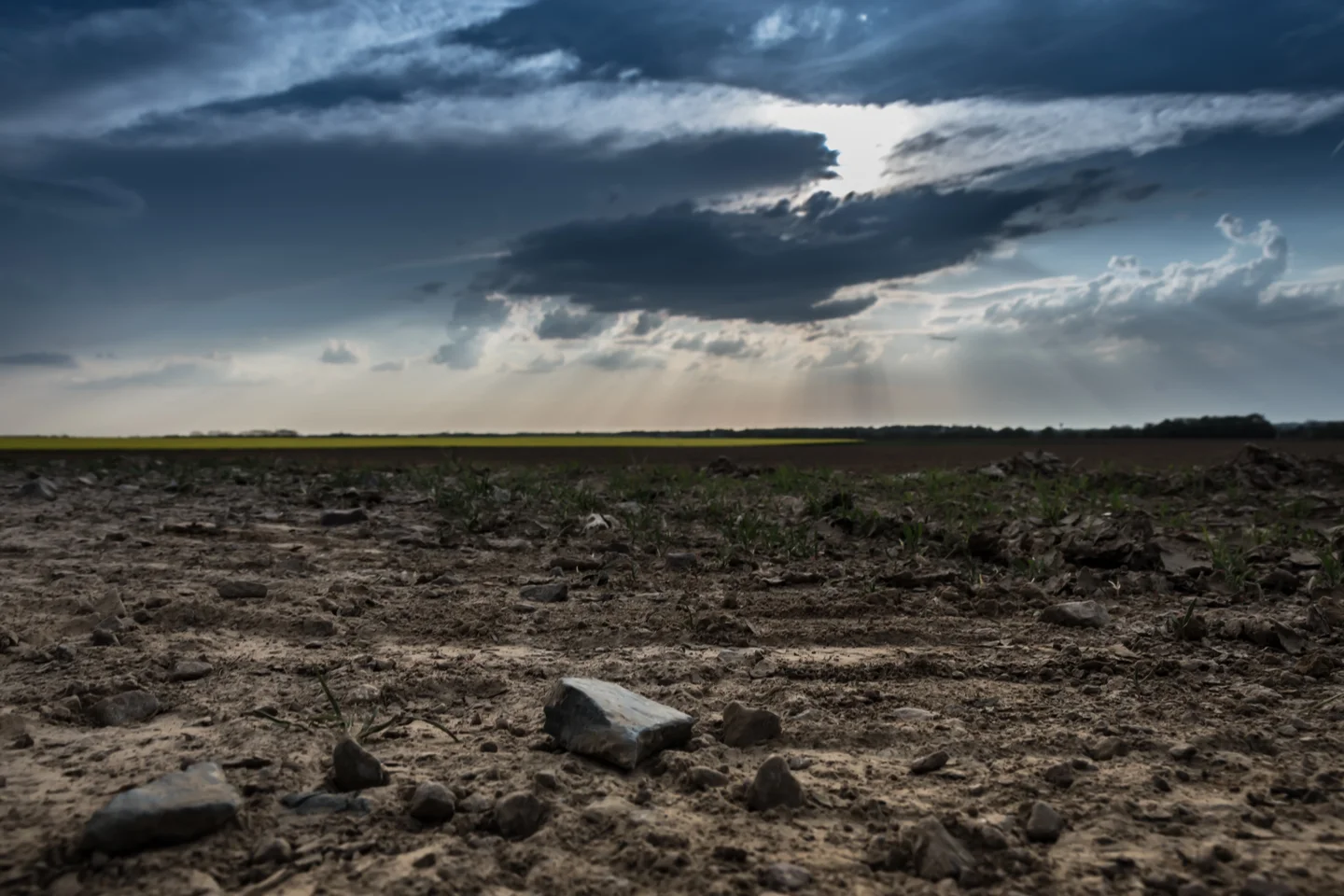 Field in Normandy - France