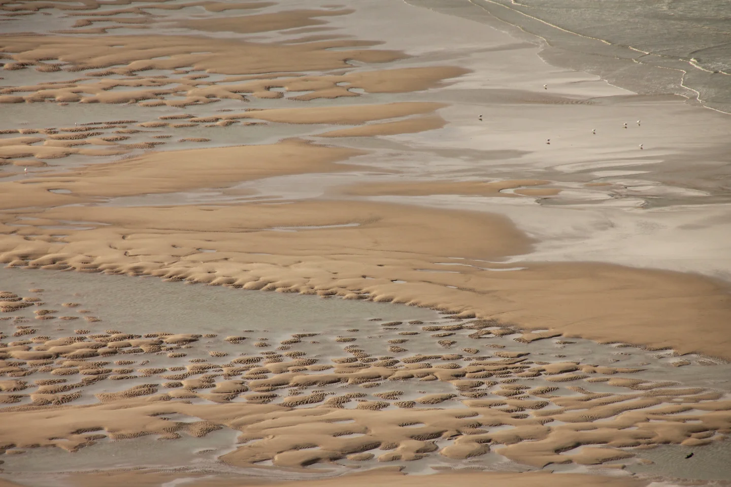 Mud cusps at Cap Blanc-Nez