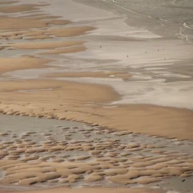 Mud cusps at Cap Blanc-Nez