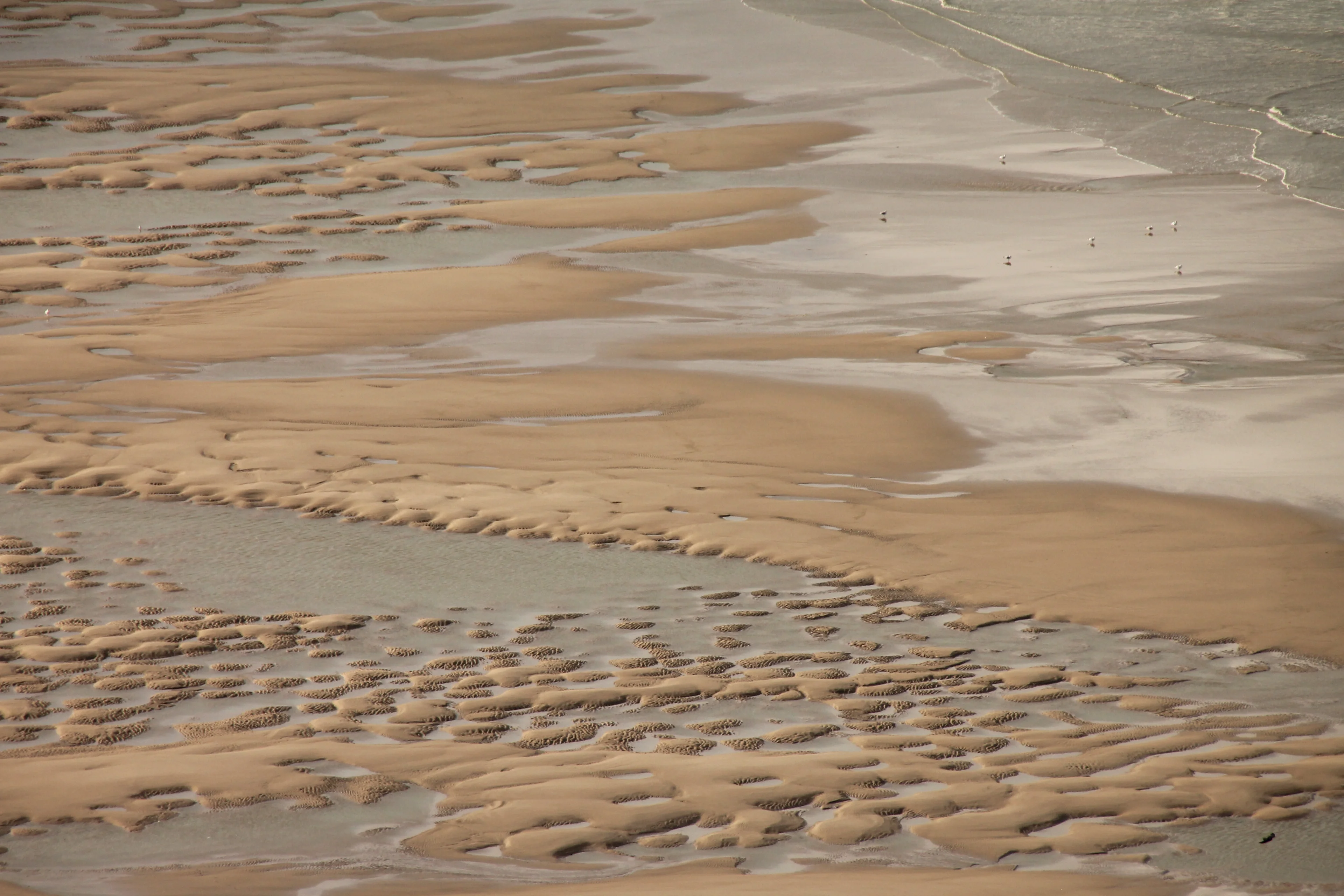 Mud cusps at Cap Blanc-Nez